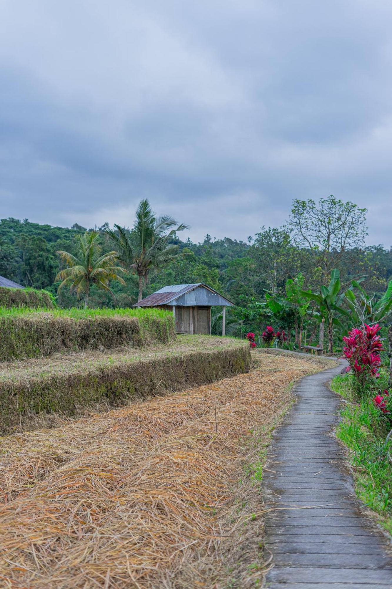 Santya Loka Lodge & Twin Waterfall Jatiluwih Exterior foto