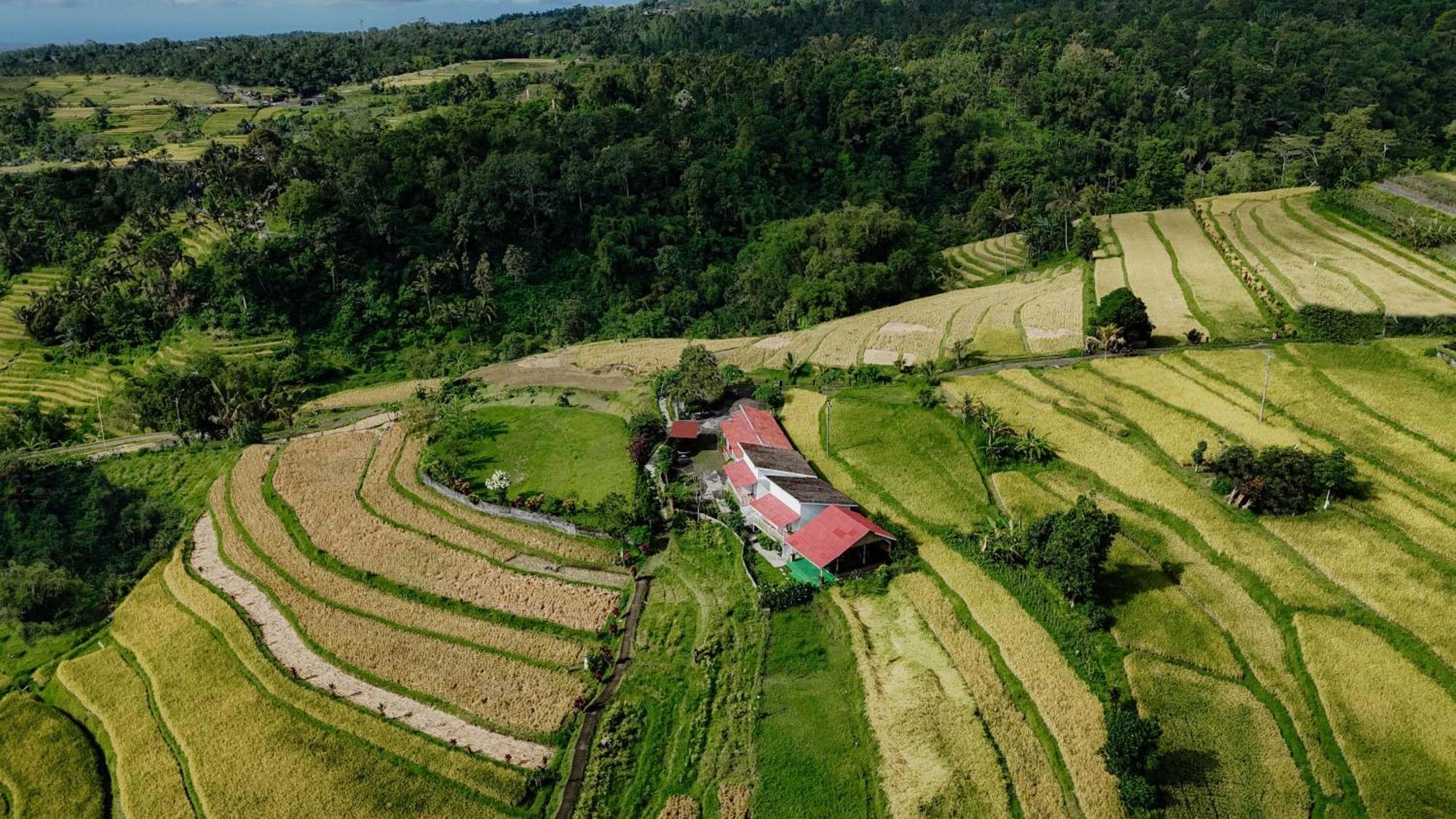 Santya Loka Lodge & Twin Waterfall Jatiluwih Exterior foto