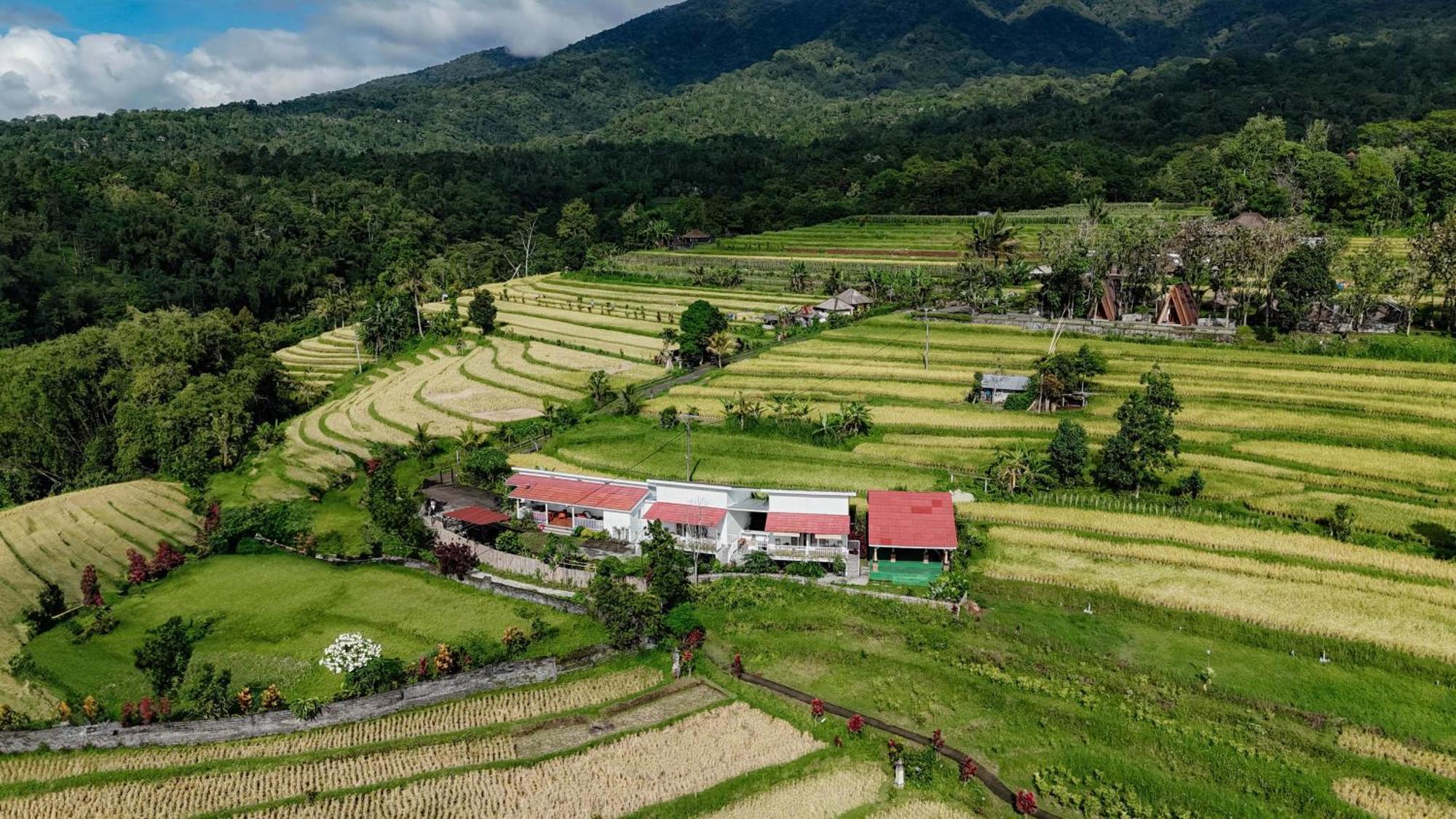 Santya Loka Lodge & Twin Waterfall Jatiluwih Exterior foto