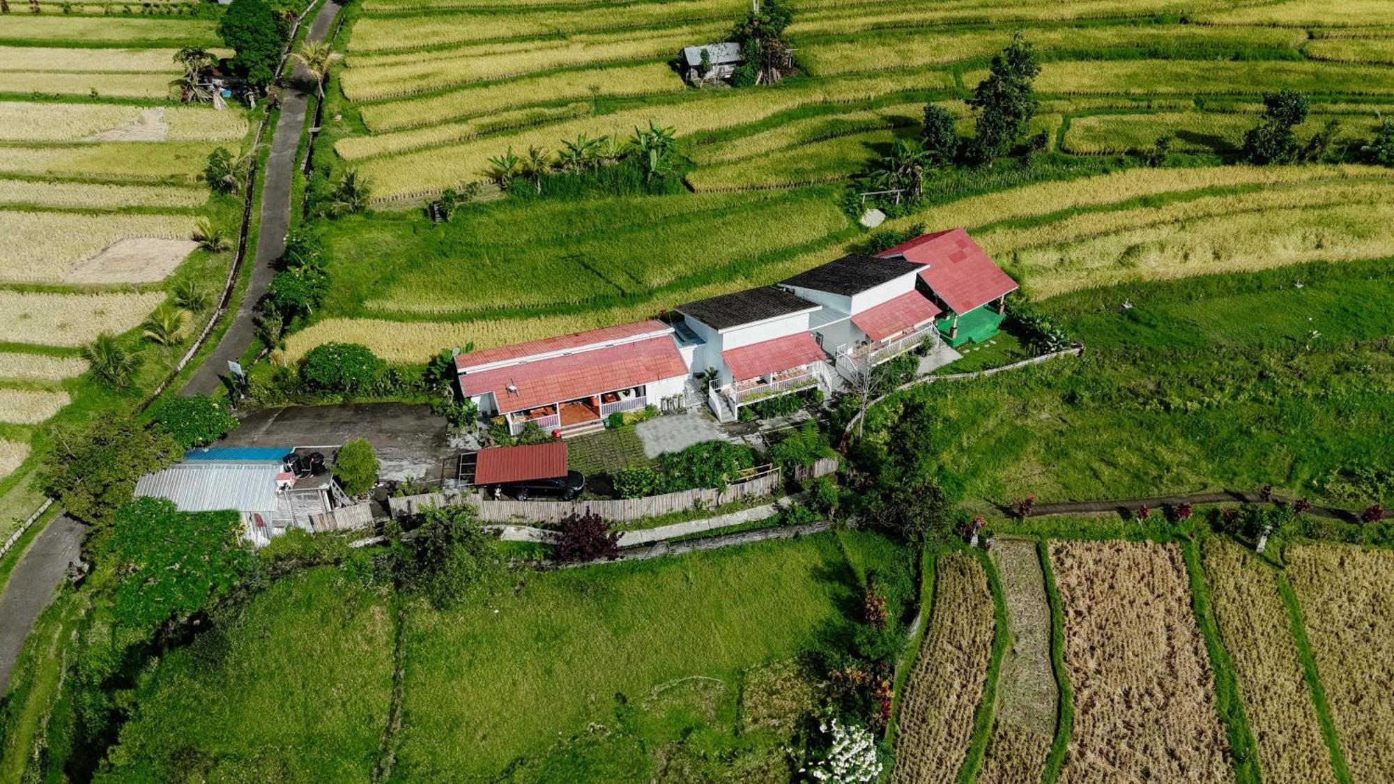 Santya Loka Lodge & Twin Waterfall Jatiluwih Exterior foto
